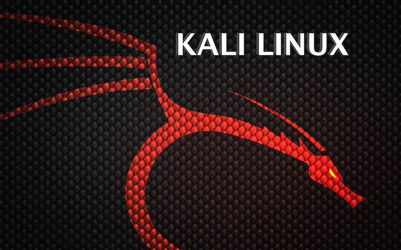 Kali Linux 64bit