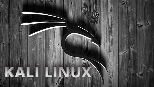 Инструкция для Kali Linux
