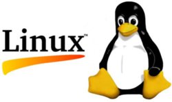 Linux для ReanimatorX